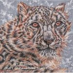 (image for) Jewel in Snow